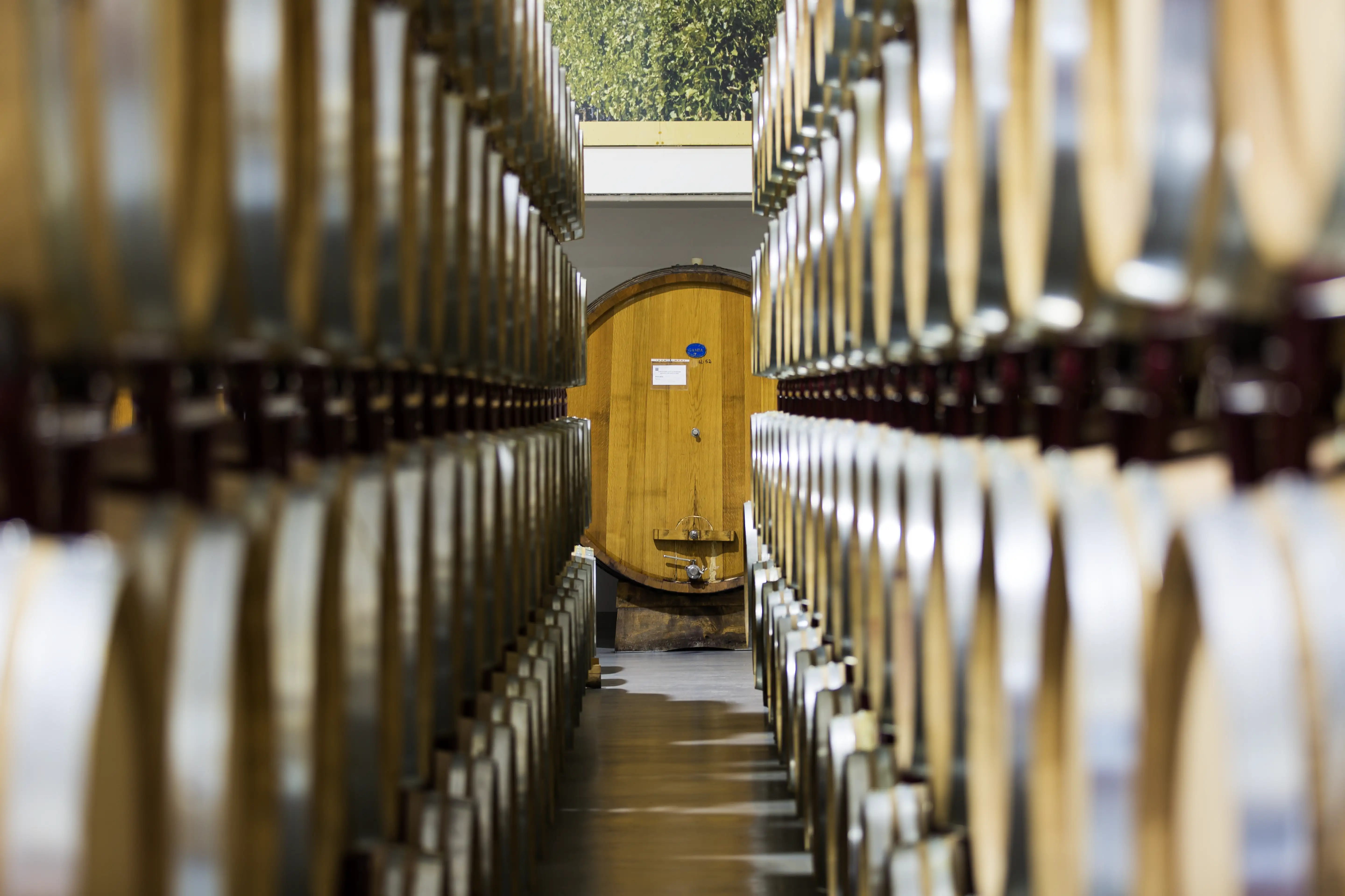 Immagine principale home